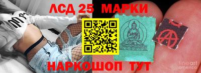 гидропоника Ставрополь