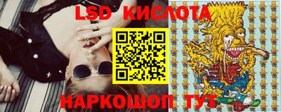 прущие грибы Новозыбков