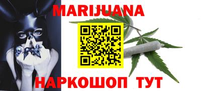 прущие грибы Новозыбков