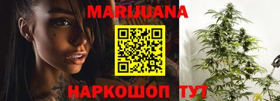 прущие грибы Новозыбков
