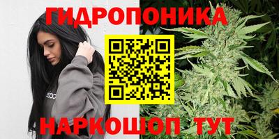 кристаллы Новодвинск