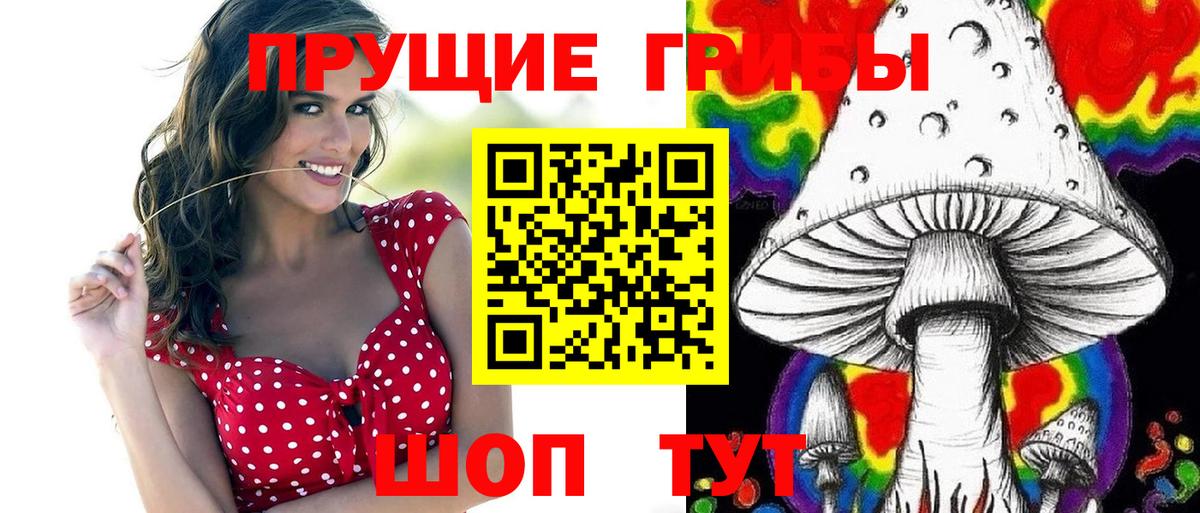 Псилоцибиновые грибы GOLDEN TEACHER Новозыбков