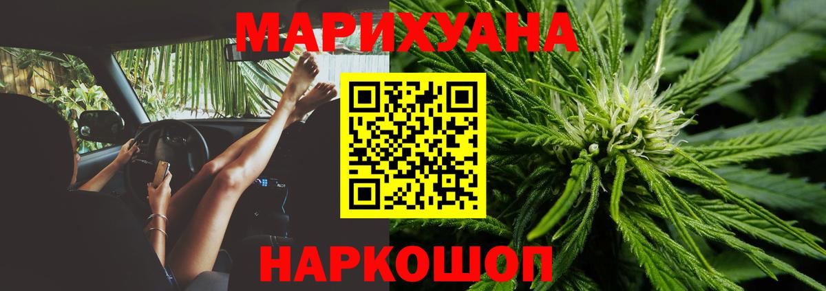 Новозыбков  Конопля конопля  Вход с VPN  Канабис Ganja  Марихуана план 